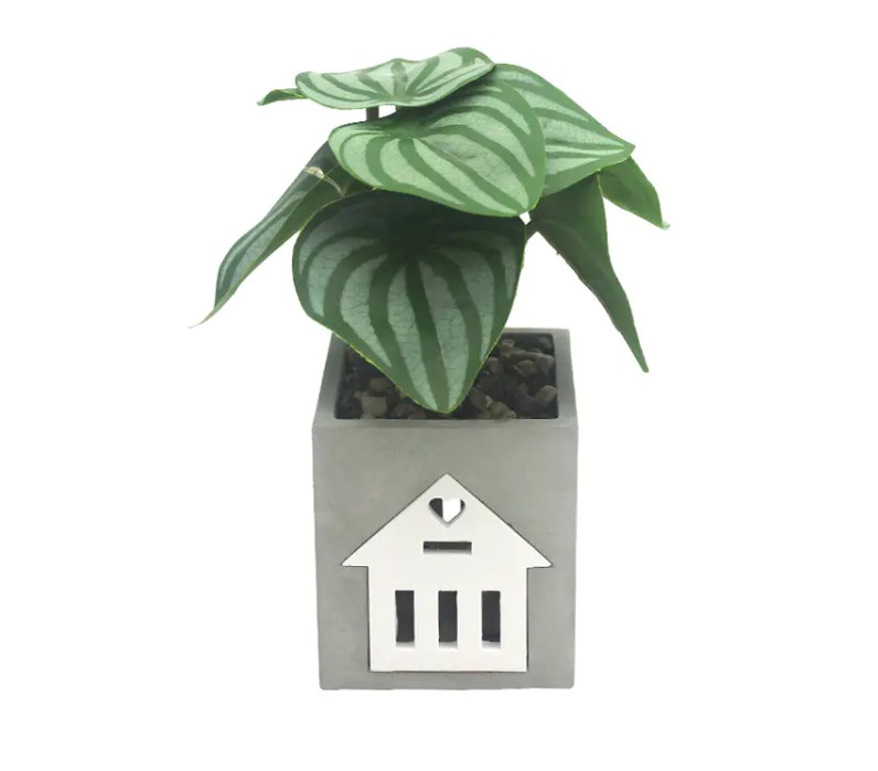 La lampada a cemento LED è compatibile con sistemi domestici intelligenti, per il controllo vocale e l'automazione?